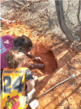 young child looking in hole