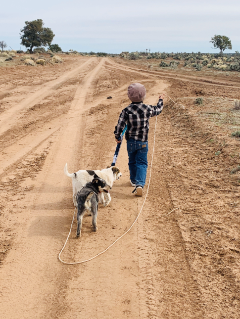 4 year old Quanah and Grandma’s pups taking an evening stroll