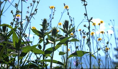 Young baby being held and looked at by women with glasses and beanie