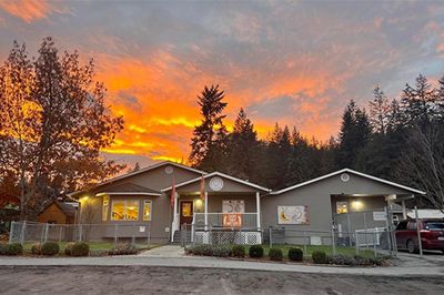 Toddlers playing amongst tree trunks and snow 