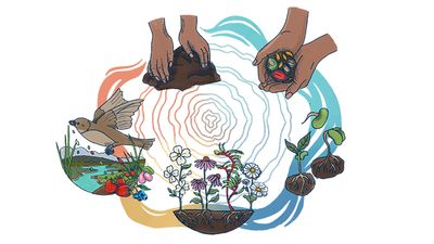 theory of change diagram